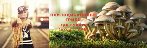 мдма Пересвет
