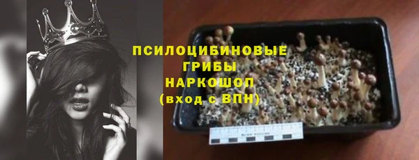 хмурый Пестово