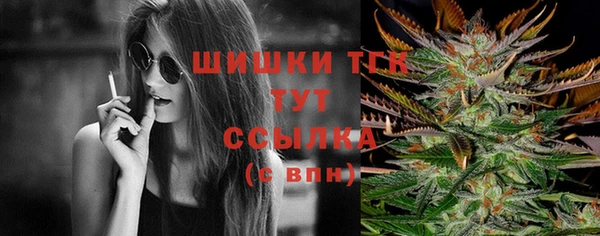 хмурый Пестово
