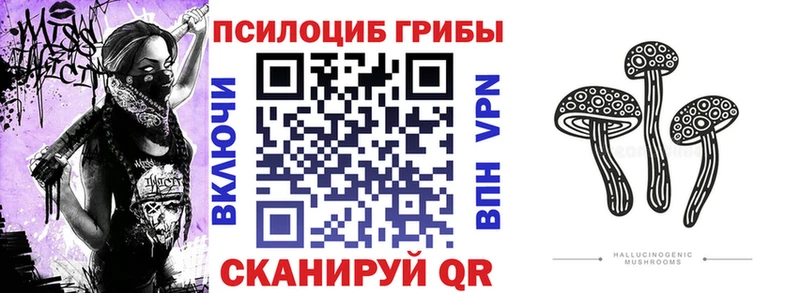 Галлюциногенные грибы ЛСД  Арамиль 