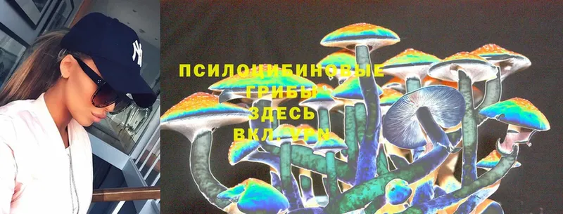 ссылка на мегу ССЫЛКА  Арамиль  Псилоцибиновые грибы Cubensis 